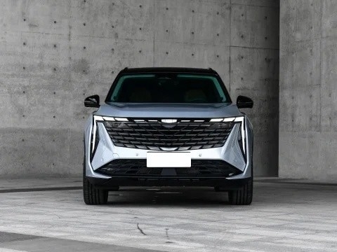 사용 기간 ≤1년 지일리 보이우 L 에너지 차량 자동차 가솔린 SUV 도로 조건