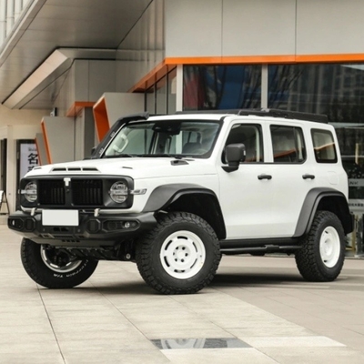 탱크 300 2024 모델 2.0t 아이언 라이더 02 AWD SUV 자동차 고객 요구 사항