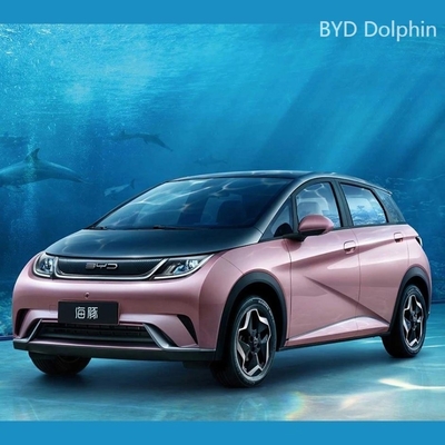 Byd 2023 돌고래 Dm-I Cltc 420km 단일 모터 온라인 지원 후 판매 서비스