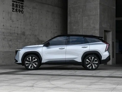 사용 기간 ≤1년 지일리 보이우 L 에너지 차량 자동차 가솔린 SUV 도로 조건