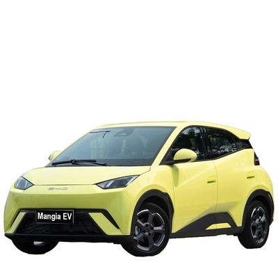 Byd Seagull EV 305km 배터리 수명 620 N M 최대 토크 0.5 H 빠른 충전 시간