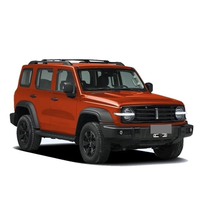가솔린 탱크 그레이트 월 300 SUV 2.0t 227PS 주식차 에너지 유형 사용자 지정 모델