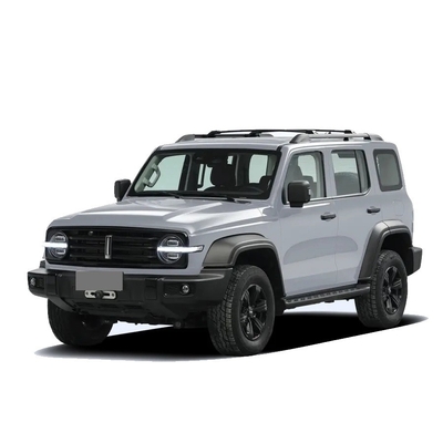 중국 탱크 300 SUV 2.0t 227PS L4 8at Custom 모델 자동차 검은색 외관 색상