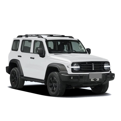 중국 탱크 300 SUV 2.0t 227PS L4 8at Custom 모델 자동차 검은색 외관 색상