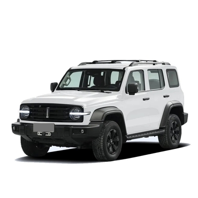중국 탱크 300 SUV 2.0t 227PS L4 8at Custom 모델 자동차 검은색 외관 색상