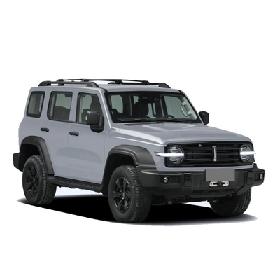 중국 탱크 300 SUV 2.0t 227PS L4 8at Custom 모델 자동차 검은색 외관 색상