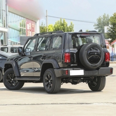 중국 가솔린 SUV 2023 장첸 탱크 300 2.0t 02 기계 제동 시스템