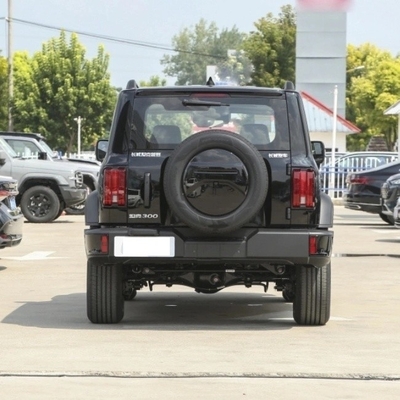 직접 공급 대 벽 탱크 300 SUV 8 기어 가솔린 자동차 Mgnt 인증 ISO10012