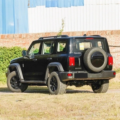 2023년 모델 2.0t 아이언 라이더 02 SUV 5도어형 SUV