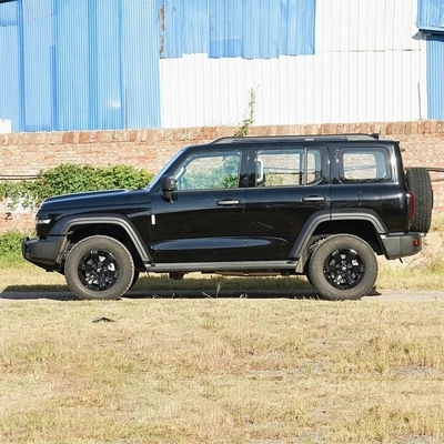 2.0t 5석 탱크 300 4륜 구동 차량 가솔린 주문제작
