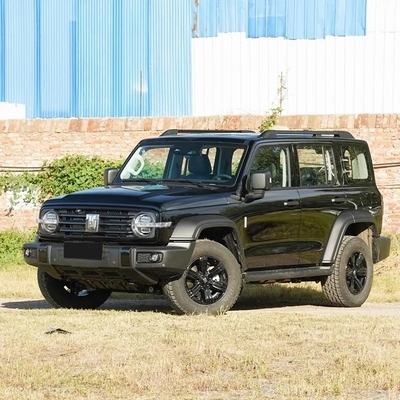 2.0t 5석 탱크 300 4륜 구동 차량 가솔린 주문제작