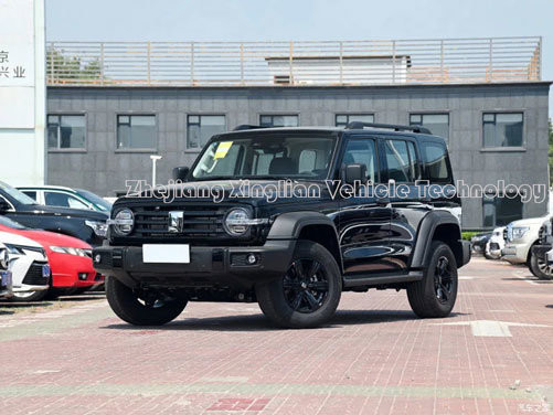 탱크 300 자동차 중국 8 속도 227HP 5 좌석 가솔린 SUV 기계 제동 시스템