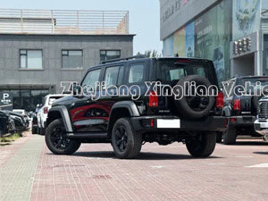 오픈 카리저 타입 2023 2024 그레이트 월 탱크 300 가솔린/가솔린 Awd 4WD 탱크 300 500 SUV
