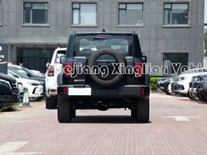 2023 자동차 탱크 300 Gwm 전면 AWD SUV 1000-1600cc 배수량 및 연료 라벨 92