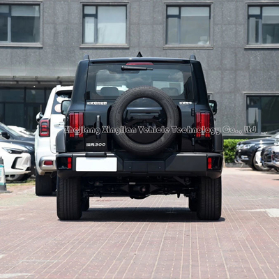 탱크300 2024 SUV 2.0t 그레이트 월 탱크 300 자동차 기계 제동 시스템으로 제작