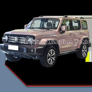 2023 대성 탱크 300 SUV 2.0t 8at 장창 기계 제동 시스템 연료 자동차