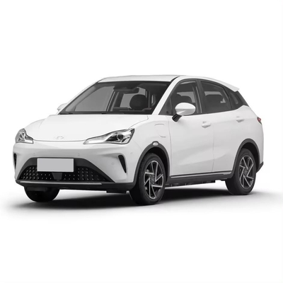 2420mm 휠베이스 아야 전기 자동차 이메일 또는 전화 온라인 서비스 318km 범위 속도 SUV