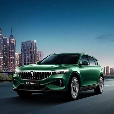 전기 SUV 동펑 보야 무료 모터 490 PS 배량 1000-1600cc