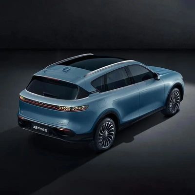 490PS 보야 무료 2024 장 배터리 수명 지능형 운전판 EV 배터리 SUV 사용