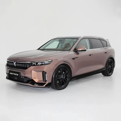 맞춤형 요청 2024 Voyah 무료와 큰 화면 5 문 5 좌석 SUV 차량
