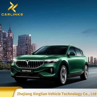 2023 보야 무료 지능형 운전판 전기 SUV Cltc 전기 범위 210km
